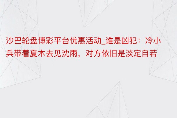沙巴轮盘博彩平台优惠活动_谁是凶犯：冷小兵带着夏木去见沈雨，对方依旧是淡定自若