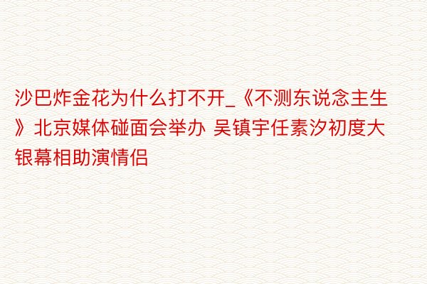 沙巴炸金花为什么打不开_《不测东说念主生》北京媒体碰面会举办 吴镇宇任素汐初度大银幕相助演情侣